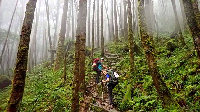 ▲松蘿湖步道上優美的林相。 （圖／Tripbaa趣吧！旅遊平台）