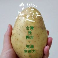 台派寶寶備用社群
