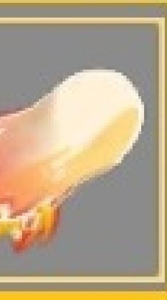 bloxfruit