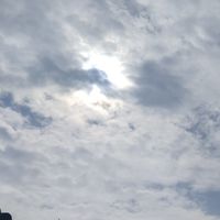 我的筆記