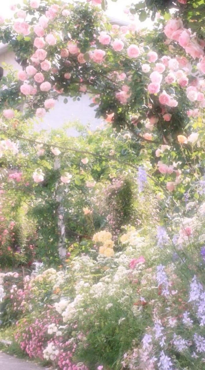 🐾꒰˖Dokichat꒱⁠˖⁠♡📎🌷