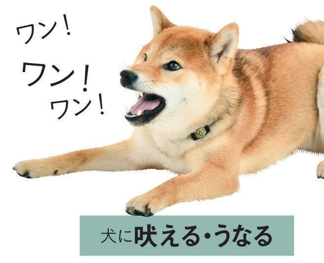 気づいて守って 犬が怖がっているときの犬のしぐさ