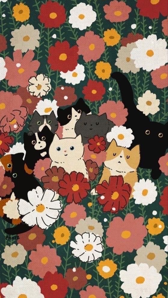 Catnip&catfu