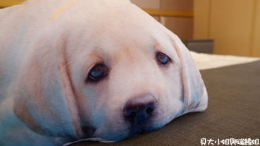 【客製化禮物】Lifetata 抱枕屋 訂製寵物造型枕