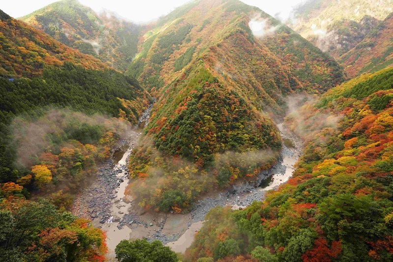 日本旅遊 德島住宿 日本三大祕境溫泉 祖谷溫泉飯店 四季之美 Line旅遊