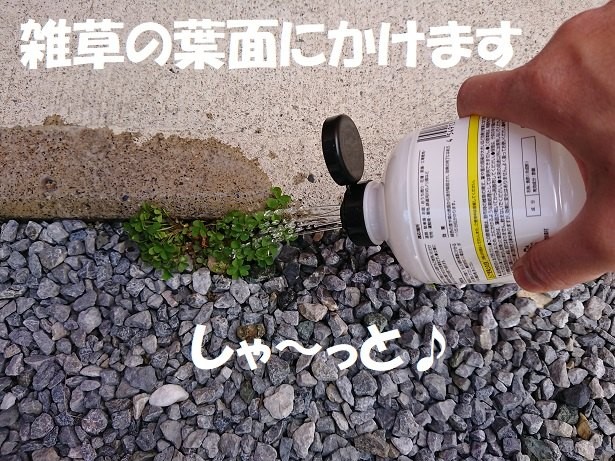 ダイソー お酢の除草剤 で安全 効率よく庭の雑草を除草