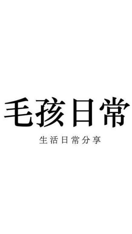 【毛孩日常】（想炫耀你家寶貝/有什麼疑難雜症想問/ 不論大小事都歡迎加入我們一起討論喔