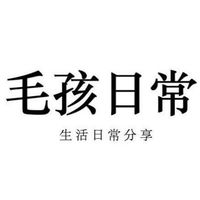 【毛孩日常】（想炫耀你家寶貝/有什麼疑難雜症想問/ 不論大小事都歡迎加入我們一起討論喔