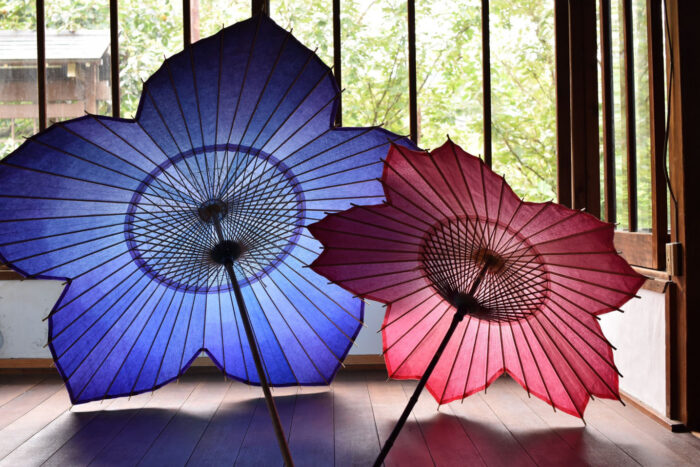 傘日和_桔梗和傘_櫻和傘