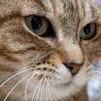 てーこ ビーズ紹介など