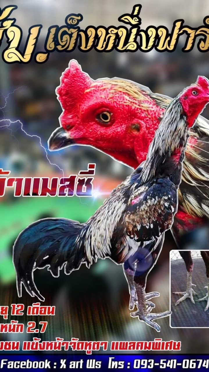ซุ้ม.เต็งหนึ่ง ฟาร์ม