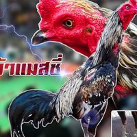 ซุ้ม.เต็งหนึ่ง ฟาร์ม