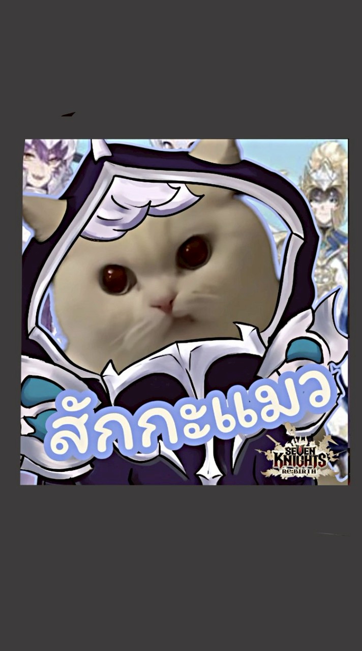 สักกะแมว กิลด์วอ