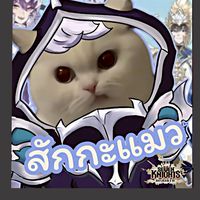 สักกะแมว กิลด์วอ