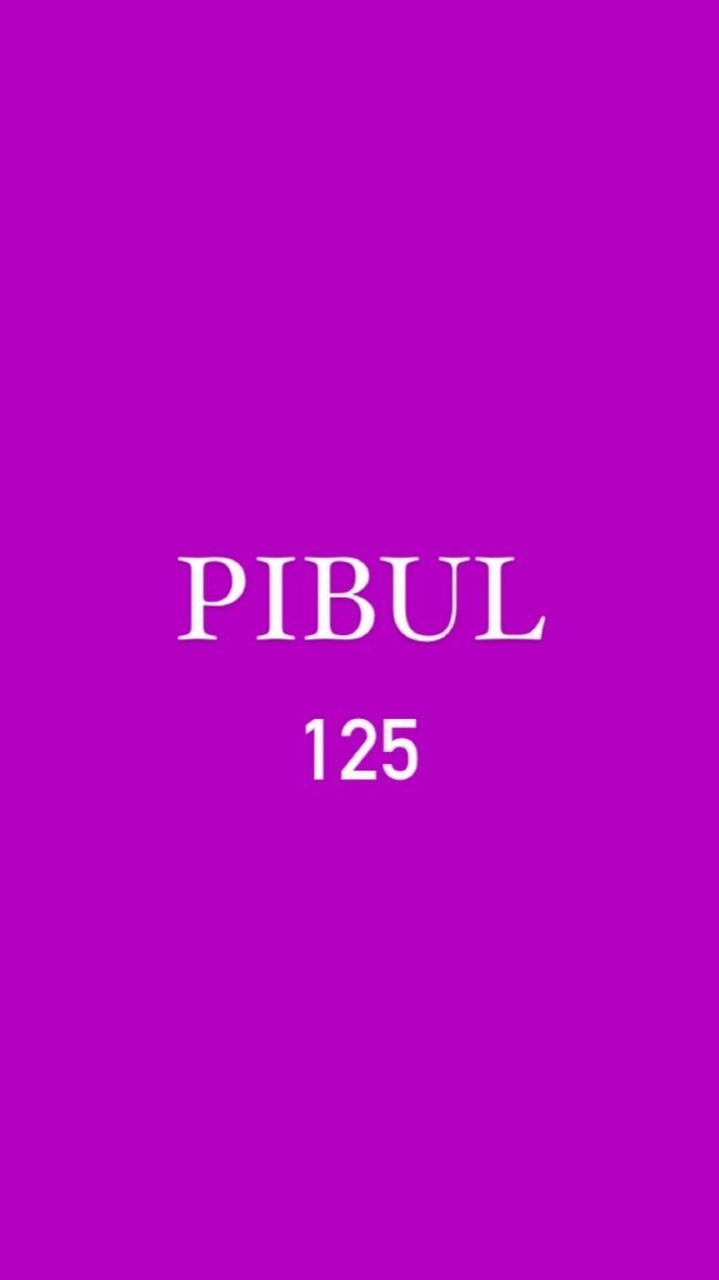 Pibul 125 🌐