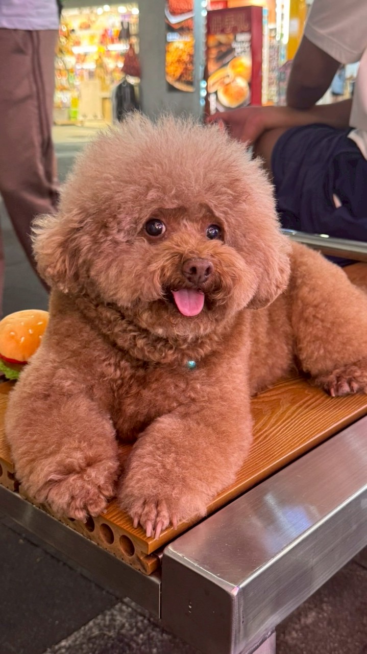 30+40+50+吃喝玩樂～尋找愛聊天的你（妳）