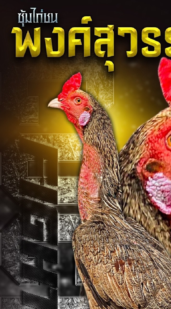 เทพมายา ป่าก๋อยสีพม่า พงค์สุวรรณฟาร์ม