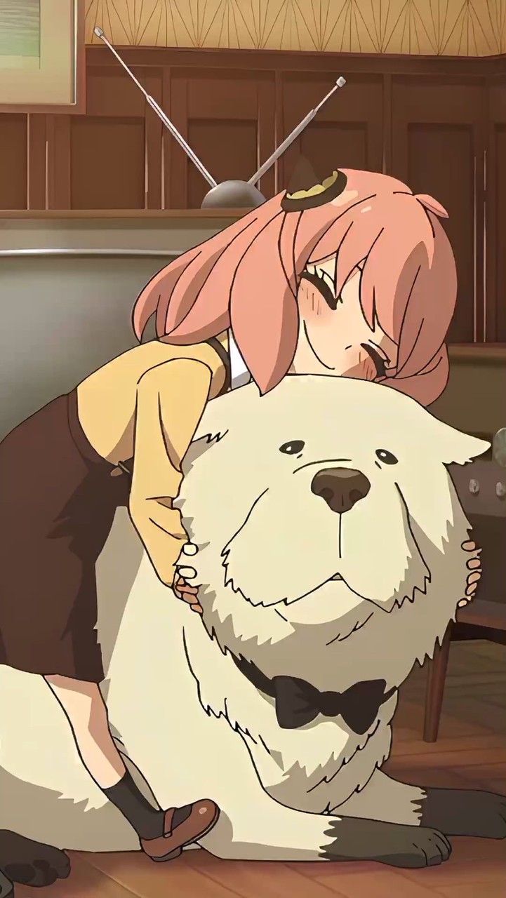 莎拉的一群小確幸