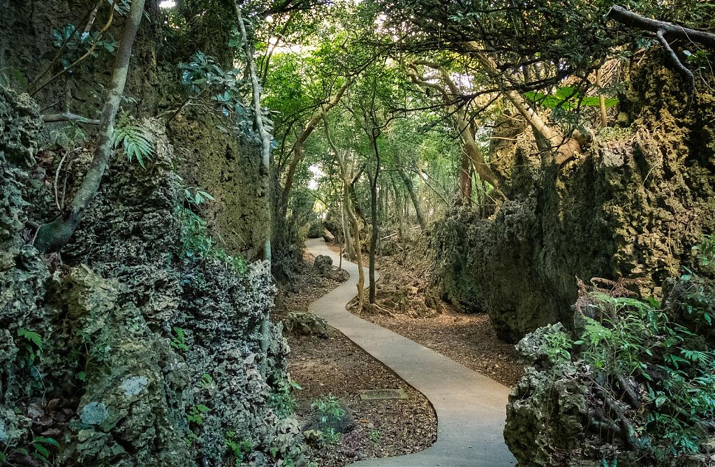 生態旅遊推薦玩法-墾丁深度玩法