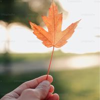 2026🍁🌏加拿大留學分享討論區🍁
