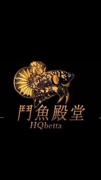 鬥魚殿堂-國外影片魚選購區