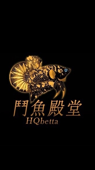 鬥魚殿堂-國外影片魚選購區