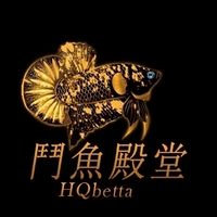 鬥魚殿堂-國外影片魚選購區