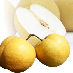 ◎無生長激素|◎採套袋方式，降低病蟲危害|◎果肉細緻、汁多飽滿香甜品牌:綠安生活類型:水果水果種類:梨子重量/件:6粒x1盒(470g±10%/粒)包裝:盒裝配送方式:冷藏產地:台灣保存期限:冷藏保存