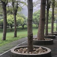 機械設計與規劃