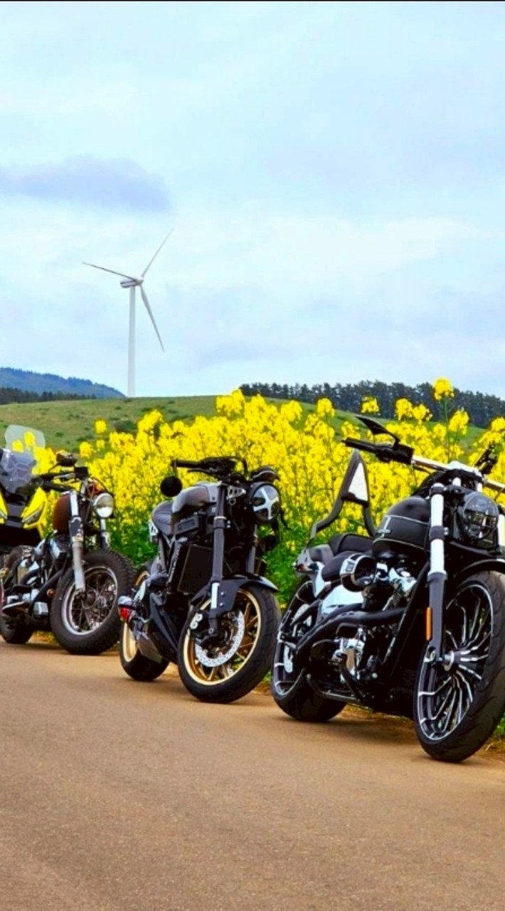 青森巡るバイク好きルーム🏍️