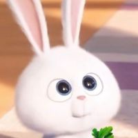 きゅるきゅるおめめのおはなさん