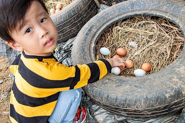 【日月潭一日遊】南投頭社活盆地農村美食餐桌與休閒農場-體驗不一樣的在地食材美味佳餚與獨特河道獨木舟體驗