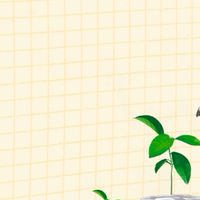 Financialadvisor