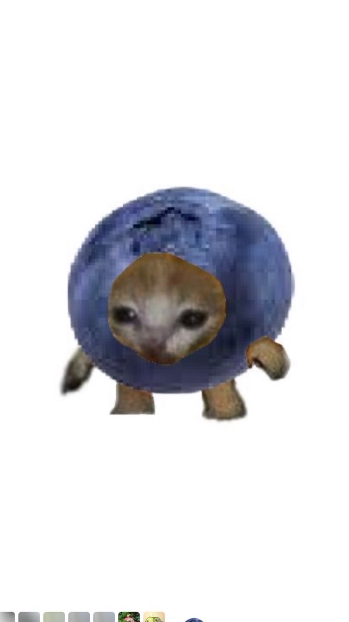 果然好朋友（中教大水果代購群）