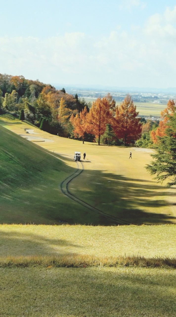 新潟市近郊のゴルフ大好き会🏌️