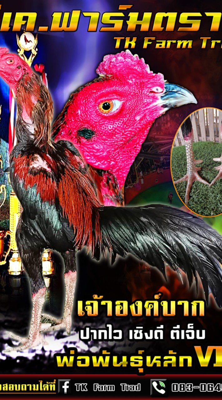 🇹🇭🔒สปีดล๊อค 💯สโล่วหรรม🥁🥁