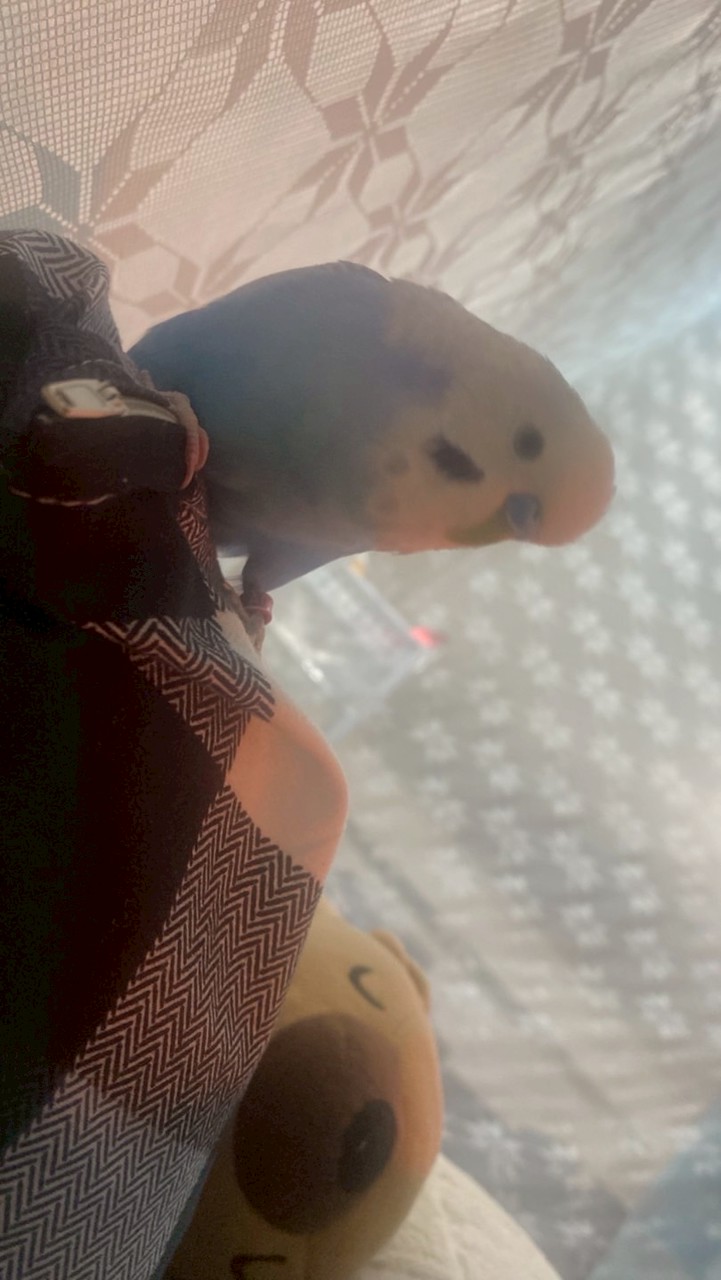 交朋友/處cp/建議男女進來