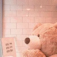 ป.1-6