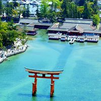 ネットの集会所（雑談オプ）