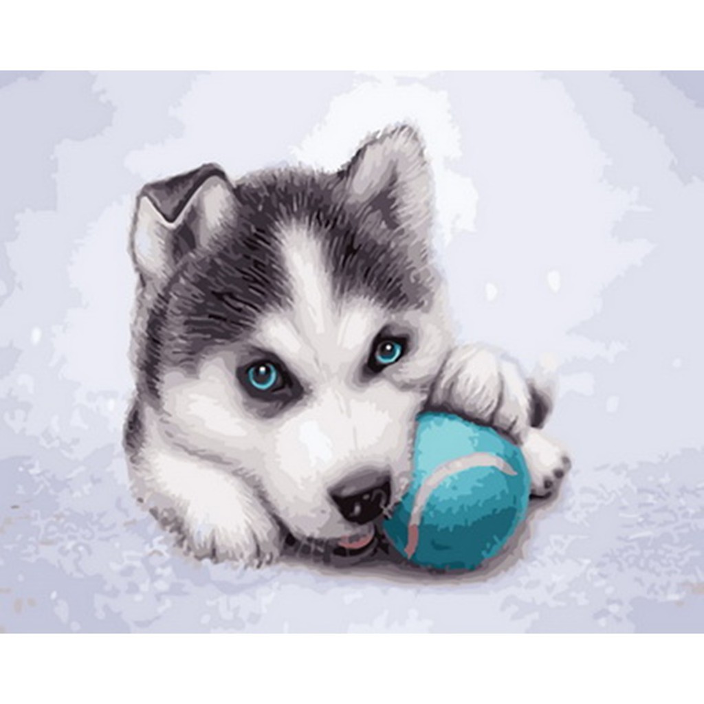 商品尺寸超出超商代收規格,只能郵局寄送!名稱：DT115 頑皮小七顏色色數：22難易度：中品名：藝術生活DIY彩繪數字油畫尺寸：40X50cm內容物：高級進口亞麻油畫布 + 實木内框 + 環保丙烯油畫