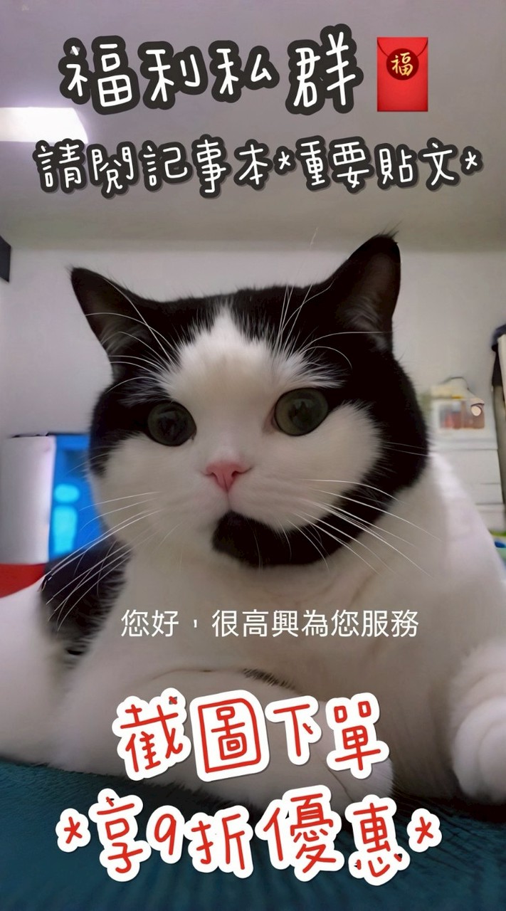 小豬肉花園♥️專屬福利群✨️