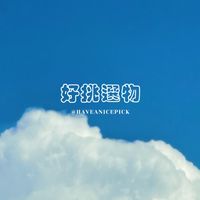 ꔛ 好挑の代購連線N!CE P!CK ⊹꙳