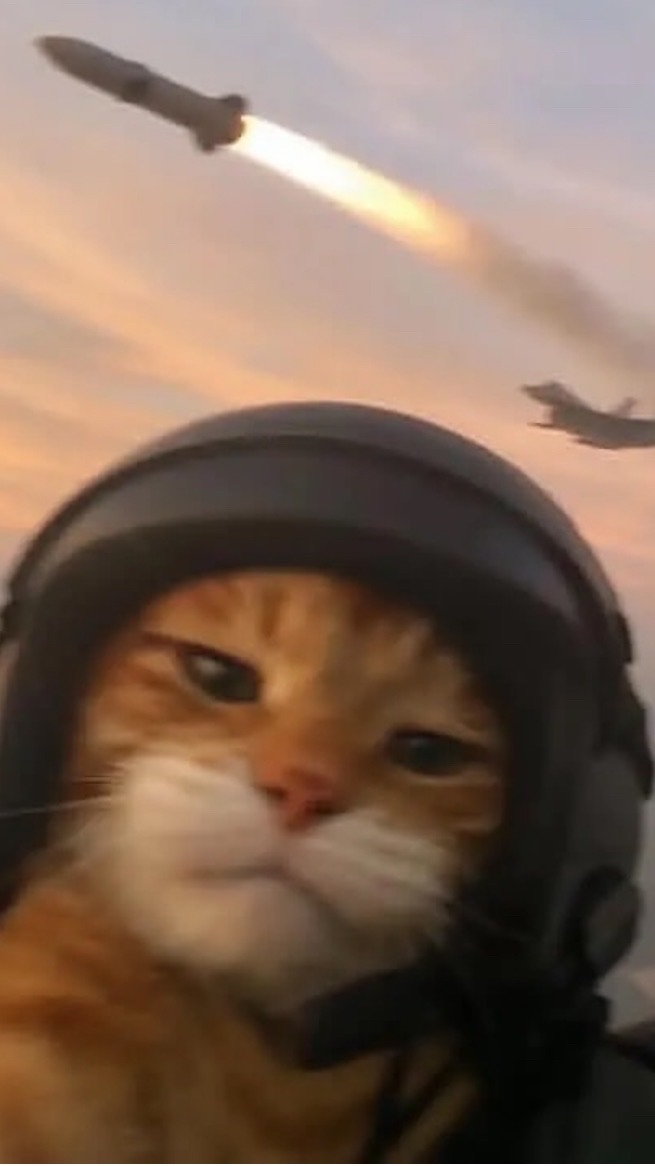 MEOW e-sport