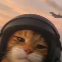 MEOW e-sport