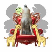 特に柴犬が好きな人