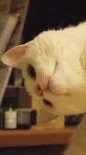 Infj-“@&-“3;/!€£^{[==