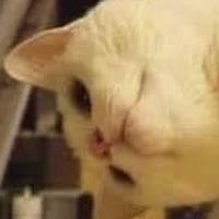 Infj-“@&-“3;/!€£^{[==