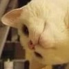 Infj-“@&-“3;/!€£^{[==