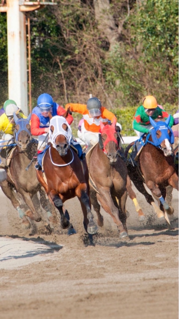 1/13 MIA🎀競馬予想のオープンチャット