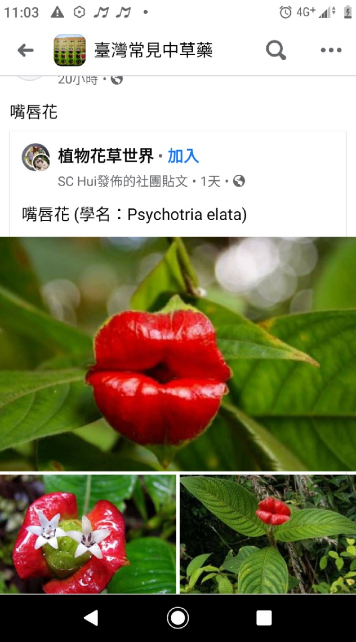 療天士